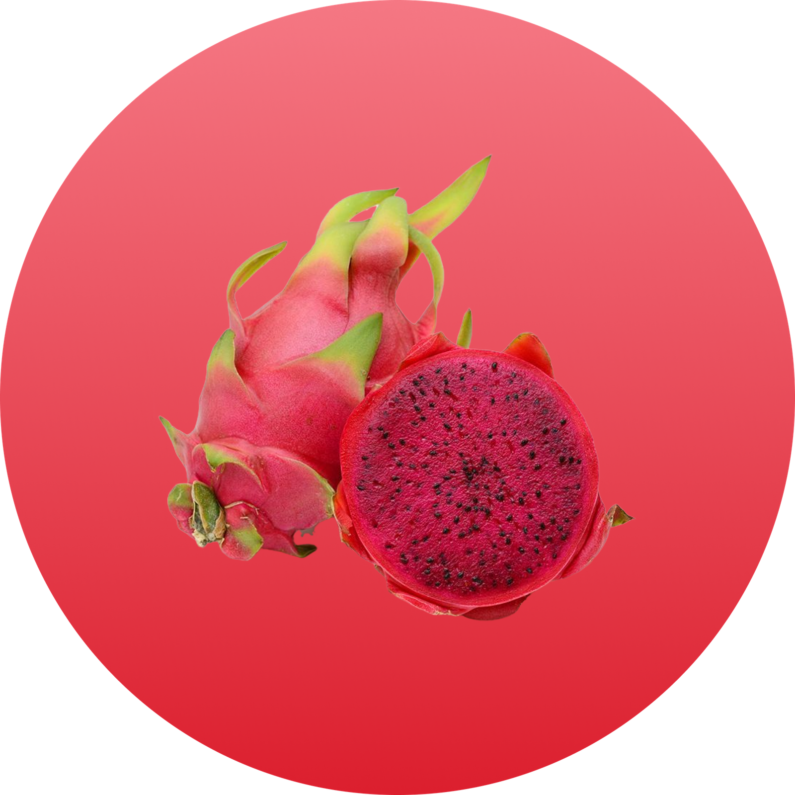 Red Dragon Fruit