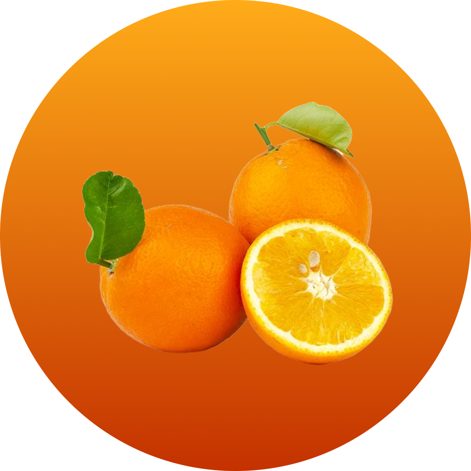Valencia Oranges